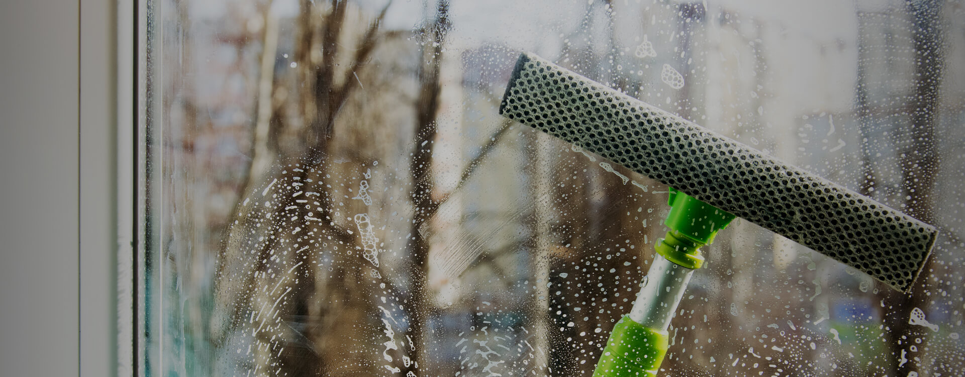Window Washing